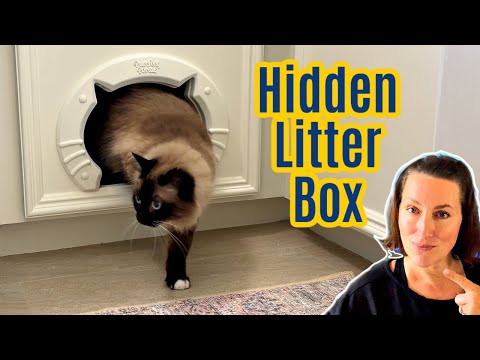DINZI LVJ Litter Box Enclosure, Cat Litter House with Louvered Doors,  Entrance Can Be on Left or Right Side, Spacious Hidden Cat Washroom for  Most of Litter Box, Cat Furniture Cabinet