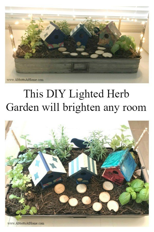 This LED Lighted DIY Fairy Garden Tray is a quick and easy DIY. Fill with your favorite plants, herbs, or succulents and decorate with birdhouses, vintage decor, or any other favorite items.