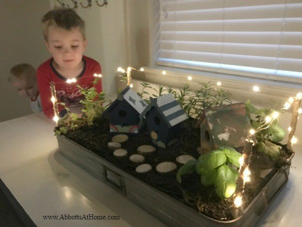 This LED Lighted DIY Fairy Garden Tray is a quick and easy DIY. Fill with your favorite plants, herbs, or succulents and decorate with birdhouses, vintage decor, or any other favorite items.