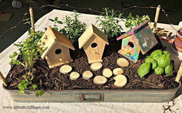 This LED Lighted Fairy Garden Tray is a quick and easy DIY. Fill with your favorite plants, herbs, or succulents and decorate with birdhouses, vintage decor, or any other favorite items.