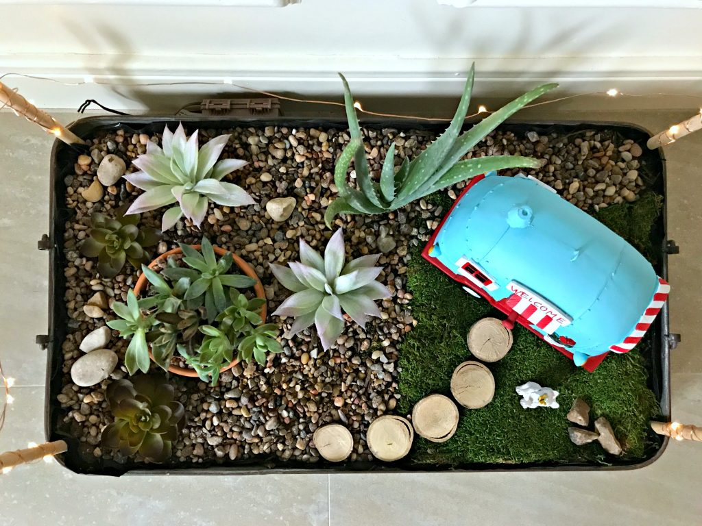 Easy DIY Steps to Make a DIY Shallow Planter Tray with tips on best plants to use for a shallow planter or garden. I LOVE this cute Succulent Fairy Garden Theme too.