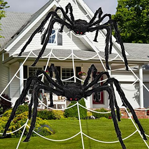 How to Hang Giant Spider Decorations: Easy Outdoor Halloween Idea ...