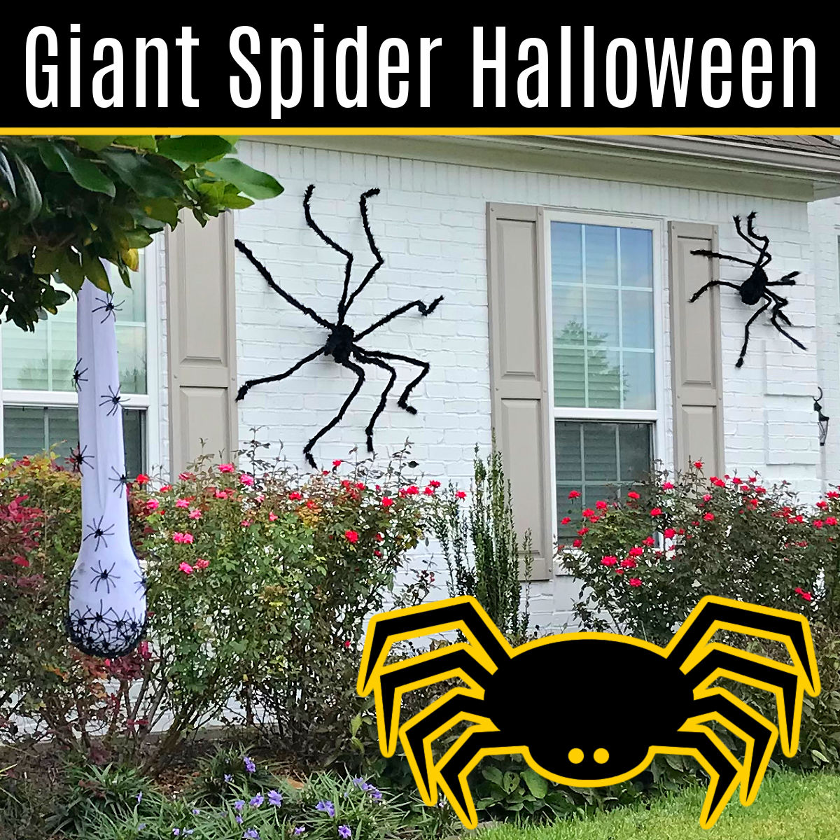 giant spider web art