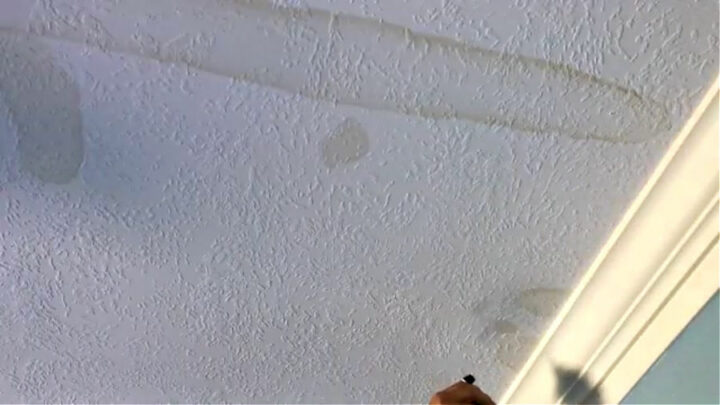 tips-for-painting-over-water-stains-on-walls-and-ceilings-dengarden