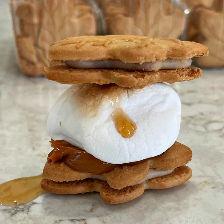 12 Yummy Dulce De Leche And Caramel Smores Variations You Should Try Abbotts At Home 